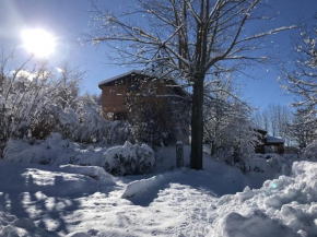 Chalet individuel pied des pistes 8 personnes